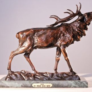 Elk
