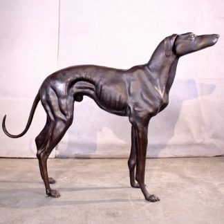 Greyhound (by P. J. Mene)